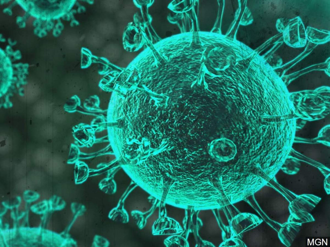 Coronavirus obaveštenje COVID-19